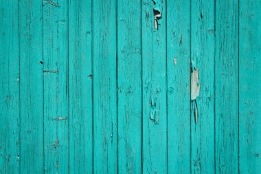 turquoise old wood background clipart