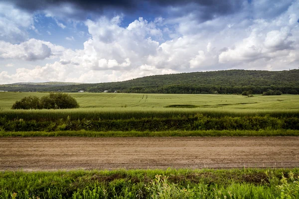 Oblasti Zemědělství Ovesných Krajina Québec Kanada — Stock fotografie