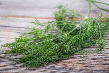 demet dereotu ot masada