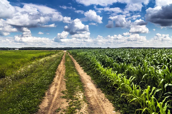 Agriculture Rurale Paysage Agricole Québec Canada — Photo