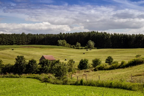 Campo de heno paisaje cielo azul quebec canada — Foto de Stock