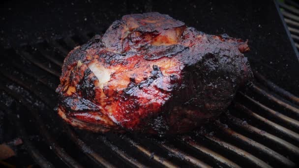 Injektion von Marinade mit einem Injektor in ein Schweineschulterstück vom Grill auf dem Raucher — Stockvideo