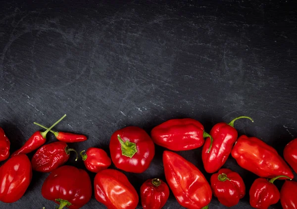 Élénk Friss Organikus Piros Habanero Capsicum Chinense Csípős Bors Fekete — Stock Fotó