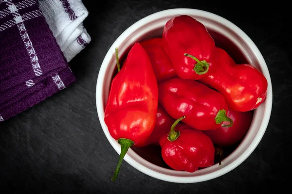 Vif Rouge Bio Habanero Capsicum Chinense Piment Fort Sur Fond — Photo