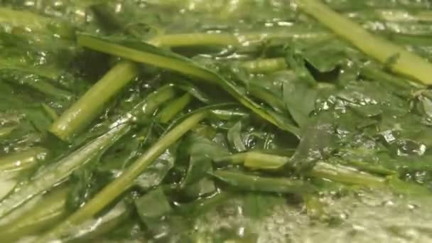 Boiling dandelion flower greens real time video — Stock Video