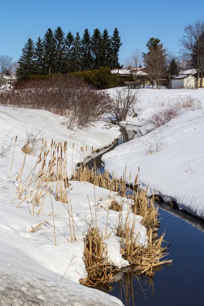 Río en la nieve en el paisaje de primavera — Foto de Stock