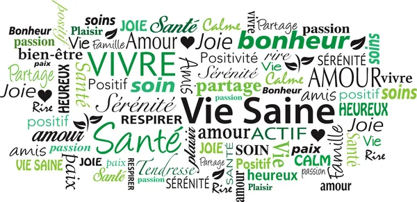 Французька здорового способу життя слово хмара колаж Векторні ілюстрації — стоковий вектор
