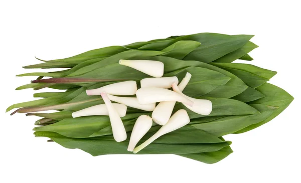 Wild garlic Allium ursinum over white background — Stock Photo, Image