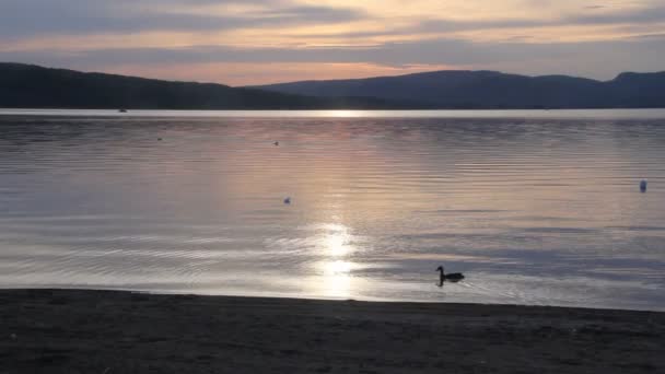 Increíble puesta de sol cielo por la noche en el lago de vídeo — Vídeos de Stock