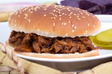 BBQ pulled pork sandwich bun closeup