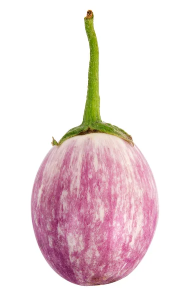 Heirloom aubergine geïsoleerd op wit — Stockfoto