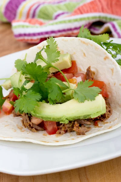 Pulled pork soft taco — Stock Photo, Image