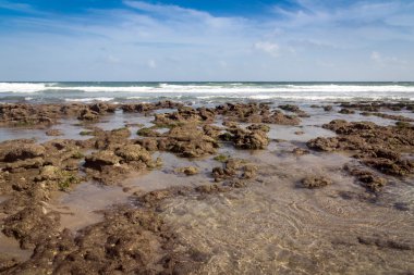 plaj ve Atlantik taş deniz florida
