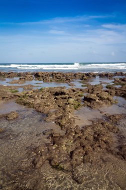 plaj ve Atlantik taş deniz florida