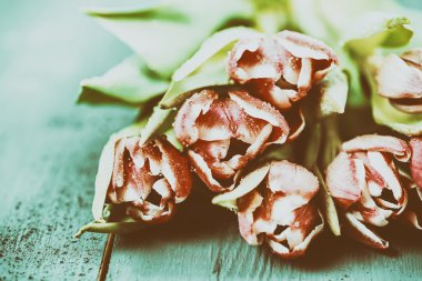 Masada bahar ıslak Lale buketi çiçek