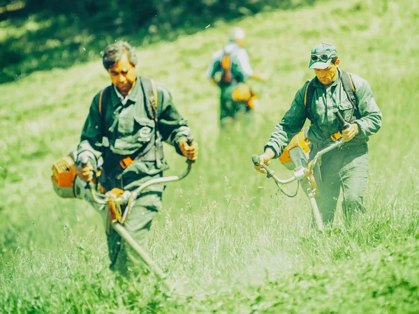 Trabalhadores cortando a grama na primavera no parque público de jovens (Tineretului Park ) — Fotografia de Stock