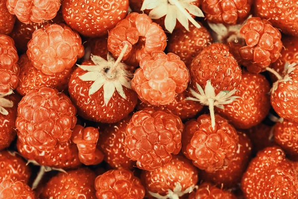 Lampone e fragola pelo nel mercato della frutta — Foto Stock