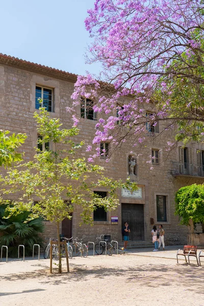 Barcelona Spanje Juni 2019 Paarse Bloeiende Bomen Het Centrum Van — Stockfoto