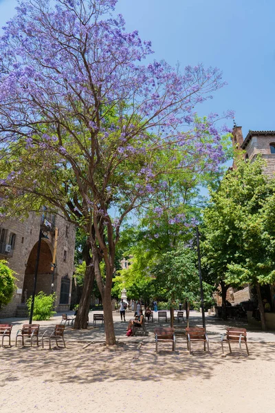 巴塞罗那 Spain June 2019年6月10日 西班牙巴塞罗那市中心的紫花树 — 图库照片