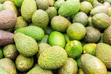 Avokado yığın meyve pazarında