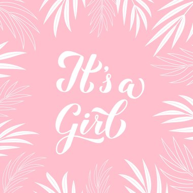 Pembe arka planda palmiye yapraklarıyla yazı yazan bir kız. Cinsiyet belirtileri. Bebek partisi süslemeleri. Davet için vektör şablonu, tebrik kartı, afiş, tipografi posteri, etiket, vs.