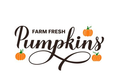 Taze kabak çiftliği yazı kaligrafisi. Festival dekorasyonlarını hasat et. Tipografi posteri, afiş, el ilanı, kartpostal, çıkartma, logo tasarımı vs. için vektör şablonu.