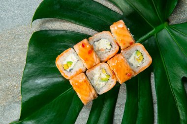 Japon suşi rulosunun üst görüntüsü kızarmış somon balığı Tataki ve üzerine sos taştan arka planda tropikal canavar yaprağında servis edilir. Avokado ve krem peynir, pirinç ve Norveç yosununa sarılmış. İçten dışa