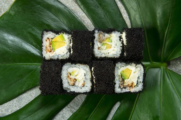 Top view of Japanese sushi roll with unagi eel, cream cheese, avocado wrapped in black caviar (flying fish roe Tobiko) served on exotic monstera leaf on gray stone background. food art concept