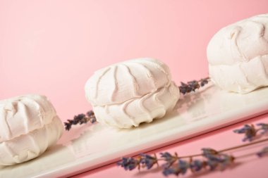 Geleneksel Rus zefirinin (zephyr) kenar görüntüsü, beyaz tabakta servis edilen ve pembe arka planda kurutulmuş lavanta çiçeklerine benzer. Seçici odaklanma. Cevizli tatlı, yumurta beyazı.