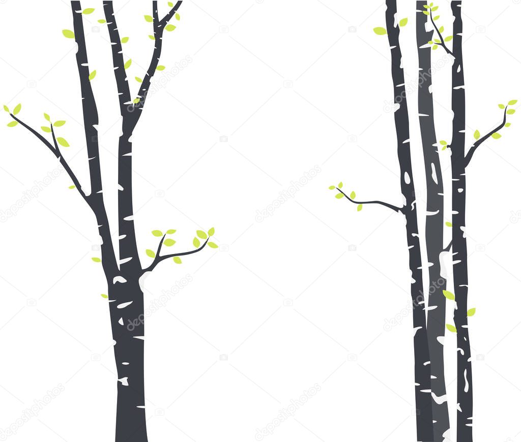 Vector Illustration of Birch Tree with deer and birds Silhouette Background for wallpaper sticker