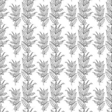 Bitkilerin dalları dikey olarak beyaz arka planda siyah bir ana hatla dizilmiş. Farklı yüzeyler için kusursuz desen. Vektör resmi.