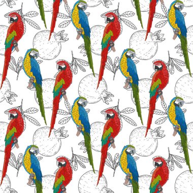 Sebze tek renkli arka planda büyük renkli papağanlar. Kırmızı ve yeşil kuşlar nar deseninde. Kusursuz vektör deseni.