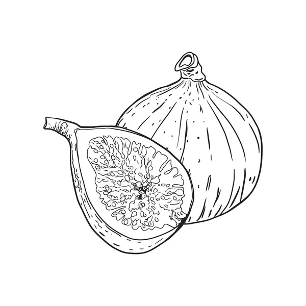 ポートフォリオ Ilyukolga ストック写真 イラストとベクターアート Depositphotos