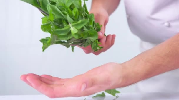 Manos Rompiendo Menta Congelada Cámara Lenta Menta Pimienta Rompiéndose Pedazos — Vídeo de stock