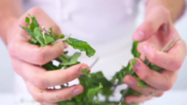 Mani Che Rompono Menta Congelata Rallentatore Menta Piperita Pezzi Mazzo — Video Stock