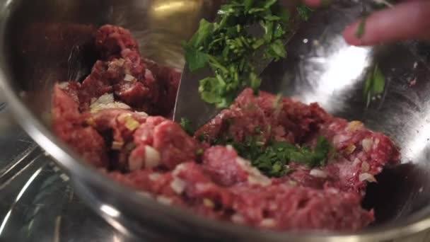 Preparation Minced Meat Someone Preparing Minced Meat Chef Cooking Meat — Stock Video