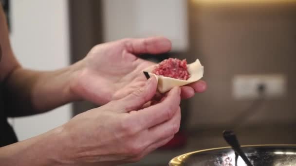 Handgjorda Dumplings Kock Matlagning Dumplings Med Kött Processen För Att — Stockvideo