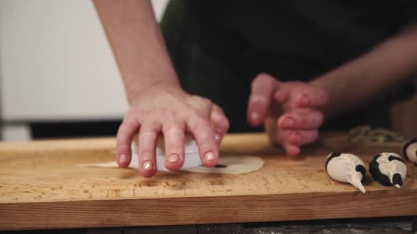손으로 셰프는 고기로 만두를 만두를 만드는 — 비디오