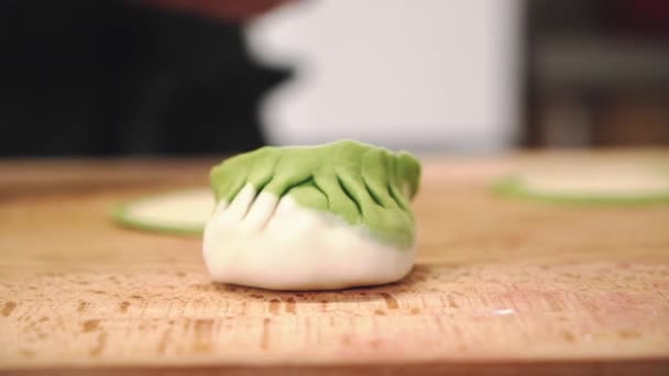 Chef Gyoza Koken Met Vlees Handgemaakte Knoedels Het Proces Van — Stockvideo