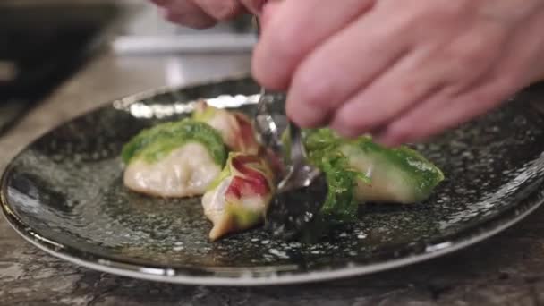 Chef Gyoza Koken Met Vlees Handgemaakte Knoedels Het Proces Van — Stockvideo