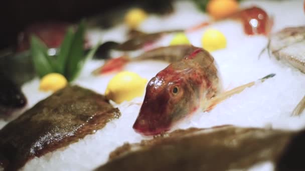 Свіжа Риба Лежить Льоду Рибний Ринок Рибний Ресторан Сирі Морепродукти — стокове відео