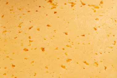 Arka plan için doğal peynirin pürüzsüz kesimi. Yüksek kalite fotoğraf