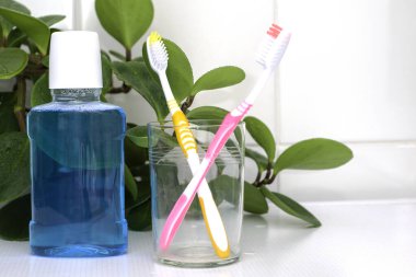 Cam bir fincanda iki diş fırçası ve banyo masasında bir gargara ile yeşil bir yaprak. Yüksek kalite fotoğraf