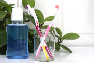 Cam bir fincanda üç diş fırçası ve banyo masasında bir gargara, yeşil yaprakların arka planında...