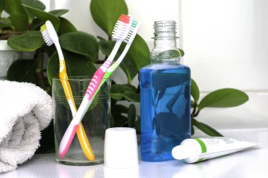 Cam bardakta üç diş fırçası diş macunu bir tüp diş macunu ve tuvalet masasının üzerine sarılmış bir havlu yeşil bir yaprak zeminine karşı. Yüksek kalite fotoğraf
