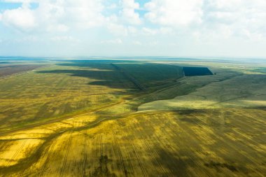 Tarlalar arasında ekilebilir bir toprak parçası. Bir drondan fışkıran bahar manzarası. Yüksek kalite fotoğraf