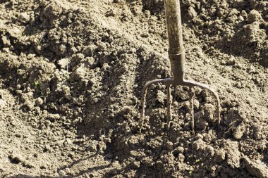 Kazılmış toprak konseptine saplanmış yaba tarım bahçıvanlığı