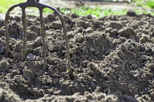 Forquilha Presa Conceito Terra Escavada Jardinagem Agrícola Foto Alta Qualidade — Fotografia de Stock