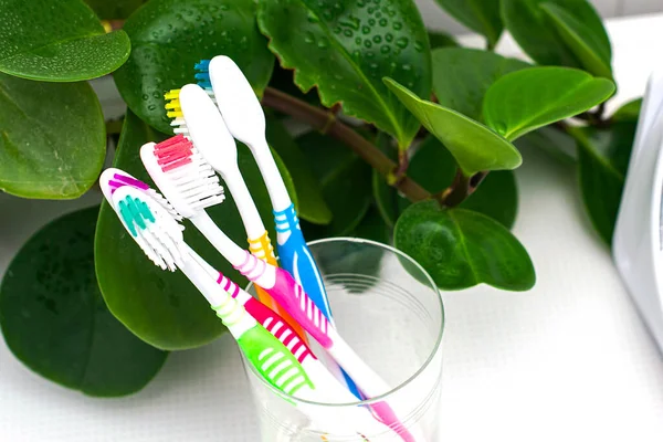 Five Toothbrushes Glass Cup Bathroom Table Background Houseplant High Quality — Stock Photo, Image