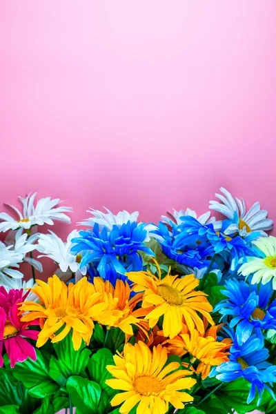 pink background with floral border at the bottom. High quality photo